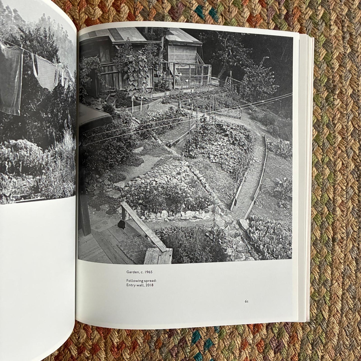 JB Blunk Edition 4  - Dent-De-Leone