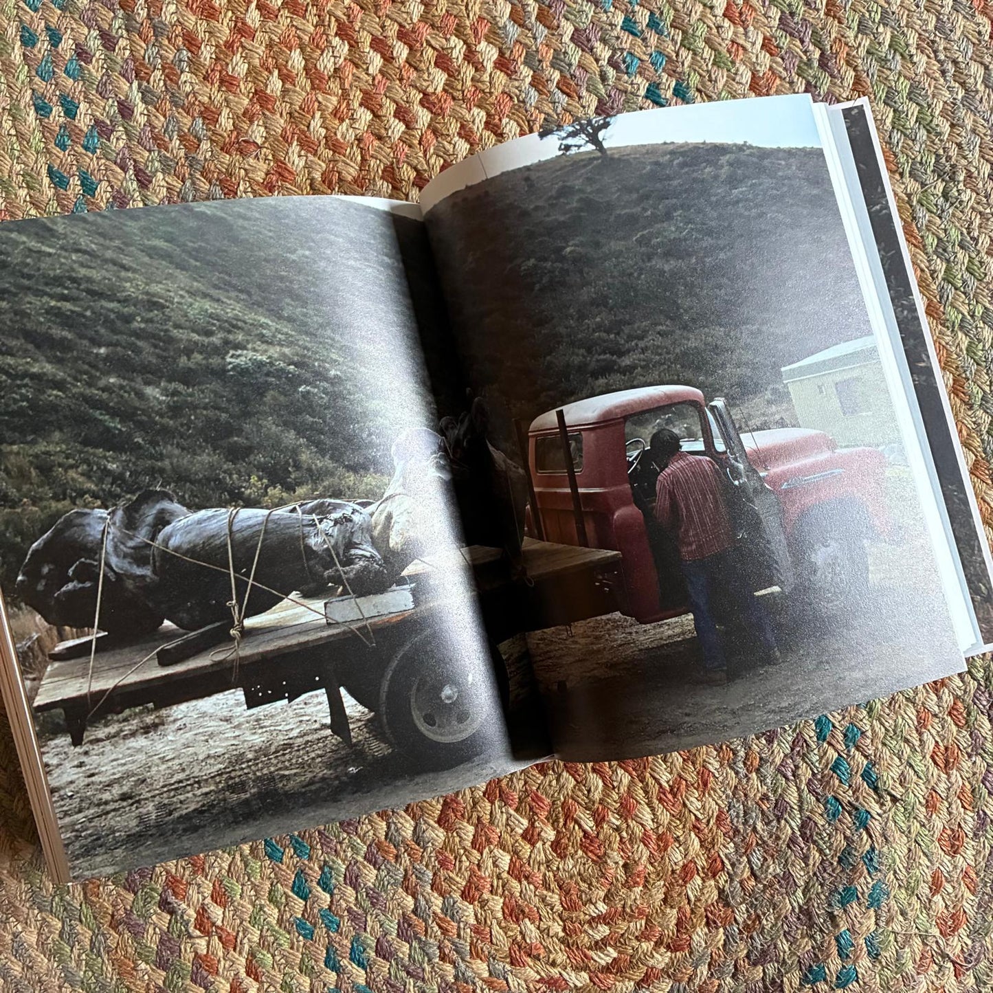 JB Blunk Edition 4  - Dent-De-Leone